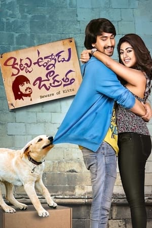 Kittu Unnadu Jagratha 2017 Hindi Dual Audio [1.1GB] HD Poster Download - Filmyzilla