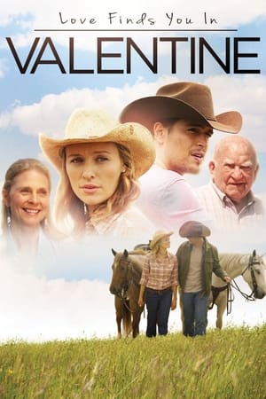 Love Finds You in Valentine (2016) Hindi Dual Audio [800MB] HD Poster Download - Filmyzilla
