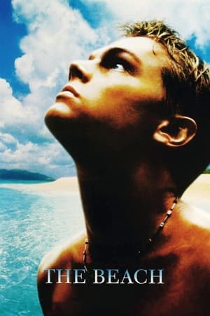 The Beach (2000) Hindi Dual Audio 400MB HD Poster Download - Filmyzilla